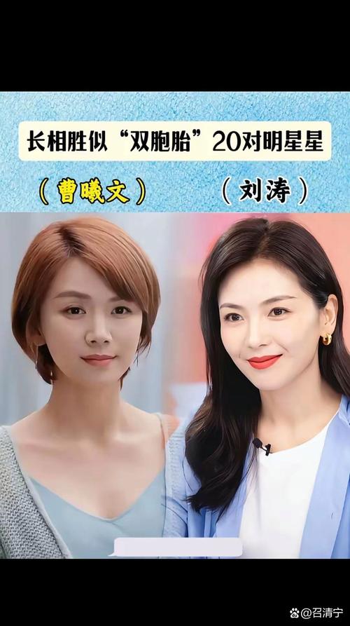 你关注的圈子真会玩！明星撞脸图更新了