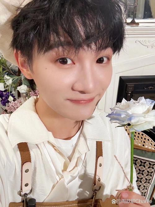 娱乐圈学历低的明星们_娱乐圈学历低的_娱乐圈低学历明星