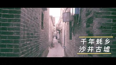 第十八届宝安区沙井金蚝美食民俗文化节_深圳八卦网红美食节在哪举行-_沙井金蚝美食民俗文化节活动